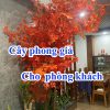 cây phong giả trong quán cafe