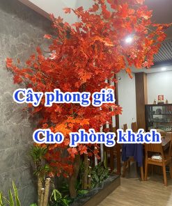 cây phong giả trong quán cafe