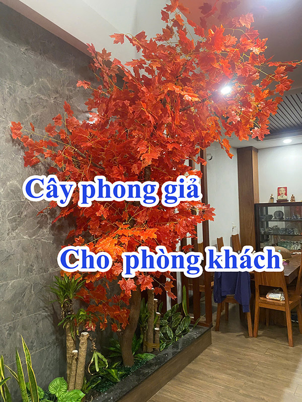 cây phong giả trong quán cafe